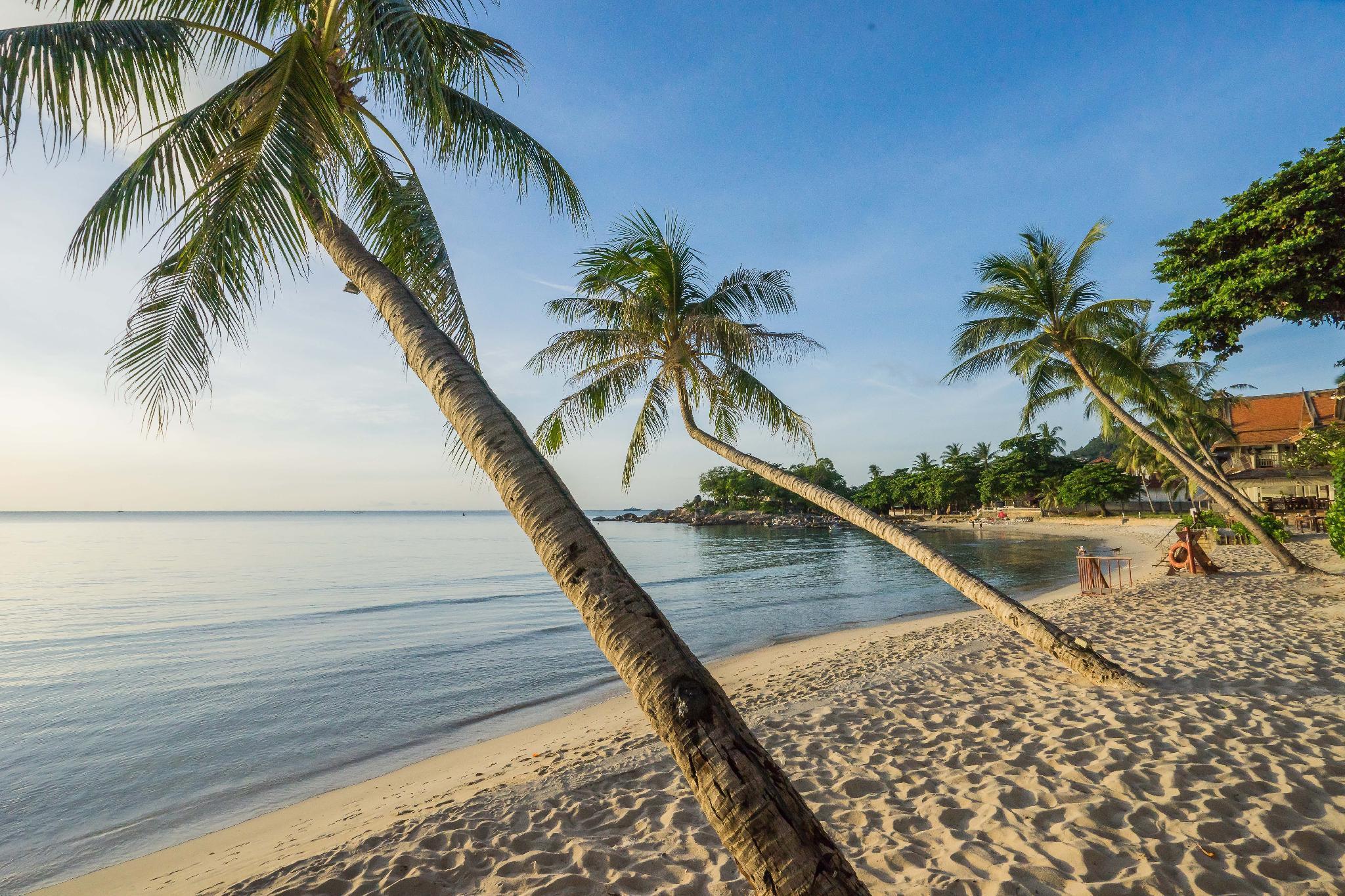 Samui Paradise Chaweng Beach Resort Eksteriør bilde