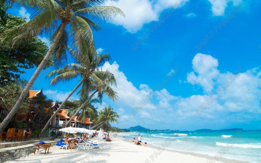 Samui Paradise Chaweng Beach Resort Eksteriør bilde